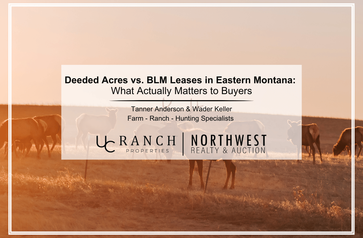 Deeded Acres vs. BLM Leases in Eastern Montana: What Actually Matters to Buyers